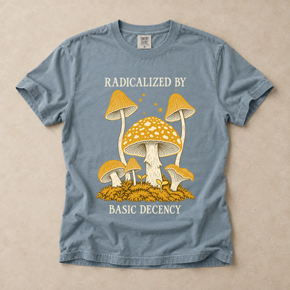 Radicalized By Basic Decency Tee