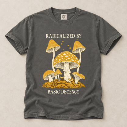 Radicalized By Basic Decency Tee